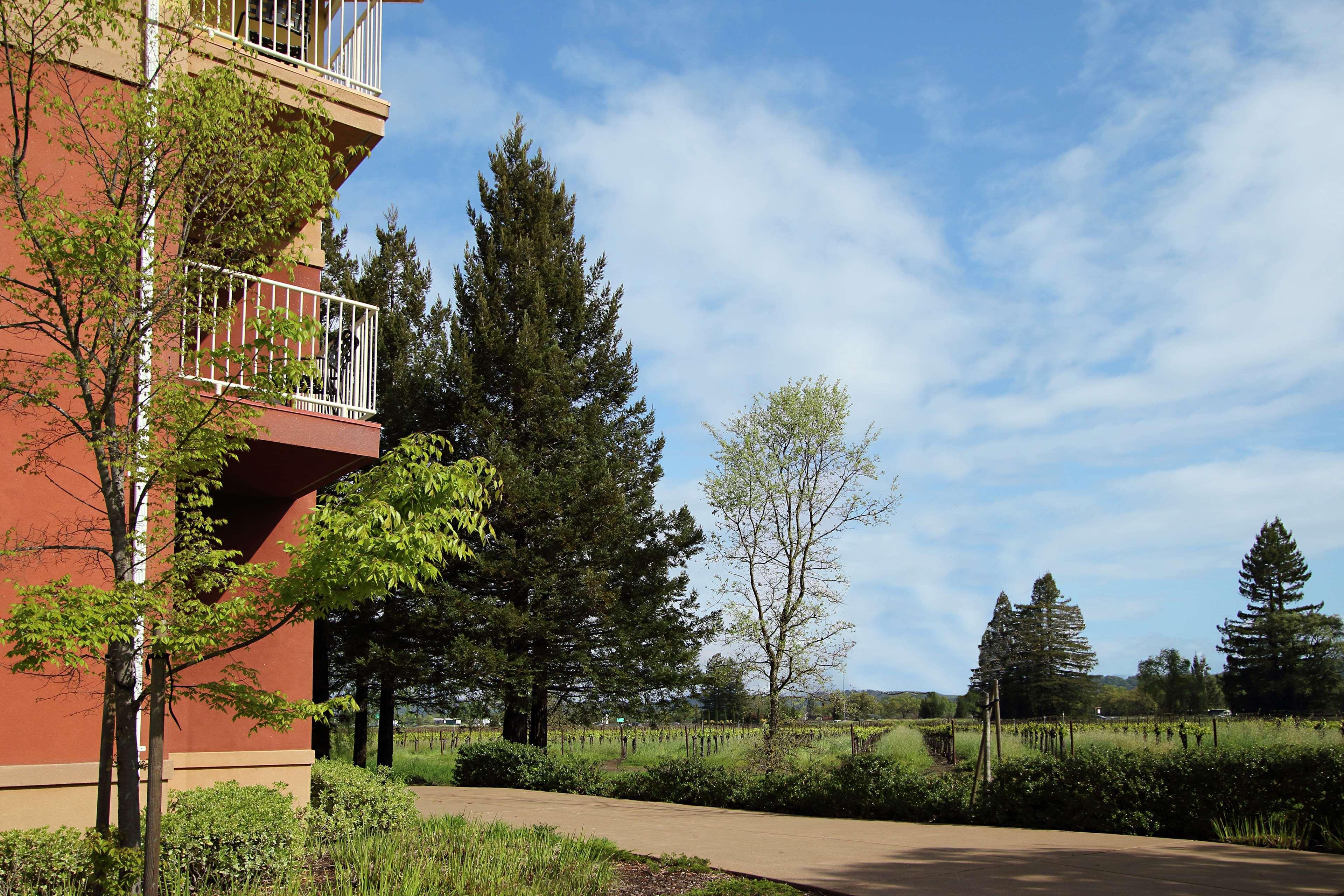 Hilton Garden Inn Sonoma County Airport Santa Rosa Exterior photo